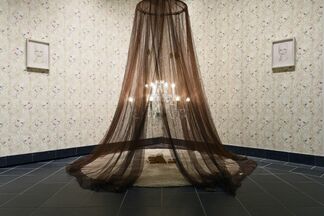 Bring Your Own Body: Transgender Between Archives and Aesthetics, installation view