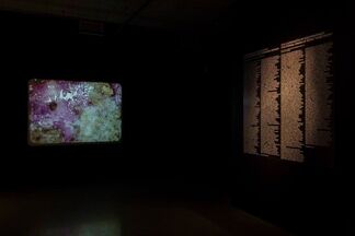 The Coordinates of Disappearance, installation view
