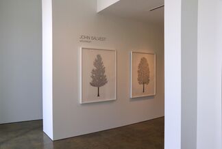 John Salvest | Arboretum, installation view