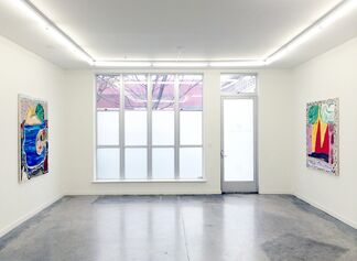 Feedback of Desire: Ted Gahl, Shara Hughes & Christoph Roßner, installation view