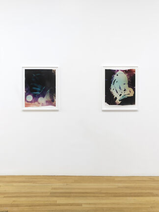 Carrie Schneider: Deep Like, installation view