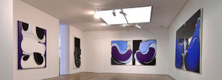 MARIE HAGERTY: RECENT WORKS, installation view