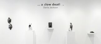 ...a slow death... by Darla Jackson, installation view