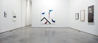 Mathew Cerletty - "The Feeling Is Mutual", installation view