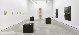 Stephen Somple: Linear Momentum, installation view