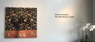 Cecilia Paredes: The Wandering Flight, installation view