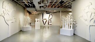 roots, installation view