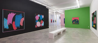 Russell Tyler: This Must Be the Place, installation view