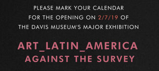 Art_Latin_America: Against the Survey, installation view
