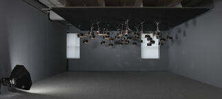 Anri Sala, installation view
