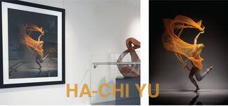 Ha-Chi YU, installation view