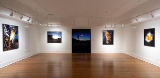 Kevin Cooley: Exploded Views, installation view