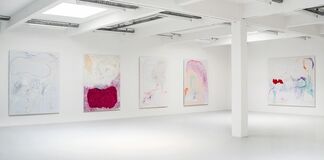Gonn Mosny, installation view