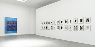 Terry Winters: Table of Contents, installation view