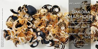 'Staying Alive' - Sandra Shashou, installation view