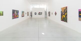 Amir H. Fallah // Wild Frontiers, installation view