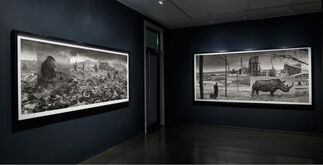 Nick Brandt - Inherit the Dust, installation view