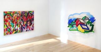 Color, installation view