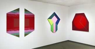 Color:  Stained, Brushed and Poured, installation view