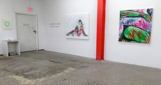 Meredith Starr: Forces of Nature, installation view