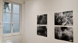 Liliana Gassiot & Odilon Redon, installation view