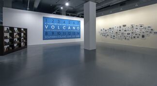 TILL IT’S GONE: An Exhibition on Nature and Sustainability, installation view