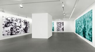 Jeff Elrod: Figment, installation view