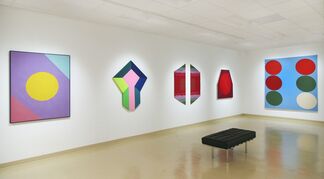 Color:  Stained, Brushed and Poured, installation view