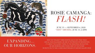 ROSIE CAMANGA: FLASH!, installation view