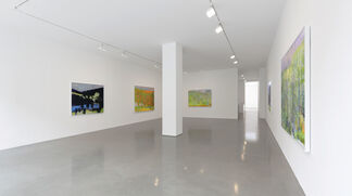 Wolf Kahn, installation view