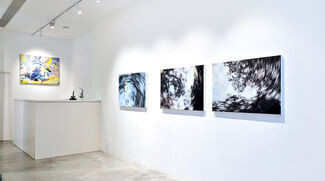 The Call of the Green, installation view