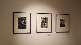 Marc RIBOUD "The young girl with a flower, 50 years later", installation view