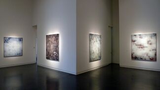 Raphaëlle Goethals "Turbulences", installation view