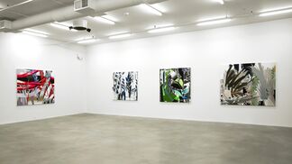 G L A S S L A N D S, installation view