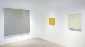 RADICAL: Monochrome Paintings from the Goodman Duffy Collection, installation view