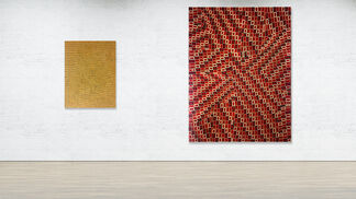 Patterns In Nature, installation view