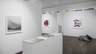 Brigitte Lustenberger; An Apparition of Memory, installation view