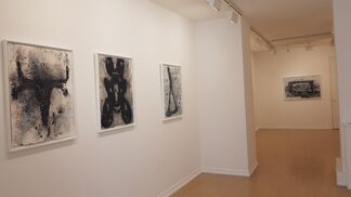 PHILIPPE COGNEE, installation view
