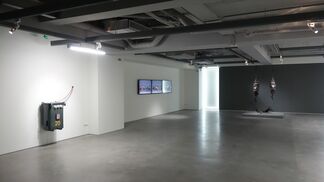 Double Vision  双視, installation view