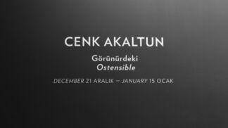 Cenk Akaltun - Ostensible, installation view