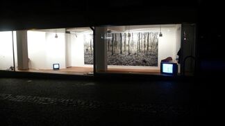 Onochord, installation view