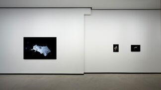 Susanna Majuri, installation view