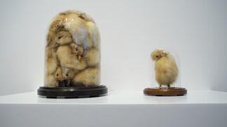 Fags, Birds and a Couple of Guns: A Retrospective of the Weird and Wonderful Nancy Fouts, installation view