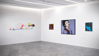 American Icons, installation view