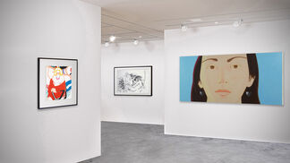 American Icons, installation view