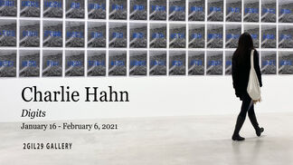 Charlie Hahn <Digits>, installation view