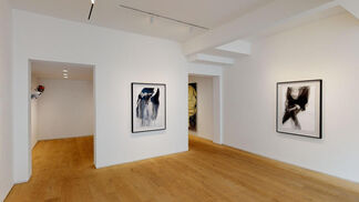 The Three Princes of Serendip, installation view