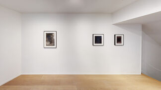 Growing the Third Ear, installation view