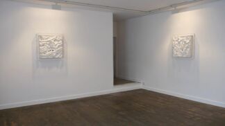 Richard Nott 'Ecdysis', installation view