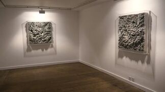 Richard Nott 'Ecdysis', installation view
